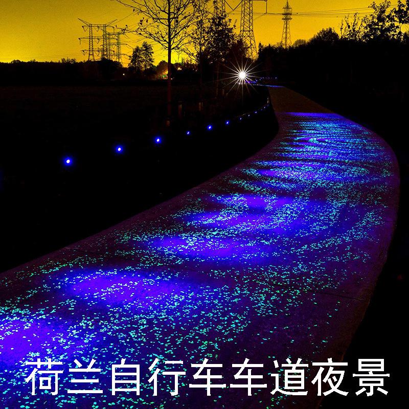 荷兰自行车车道夜景