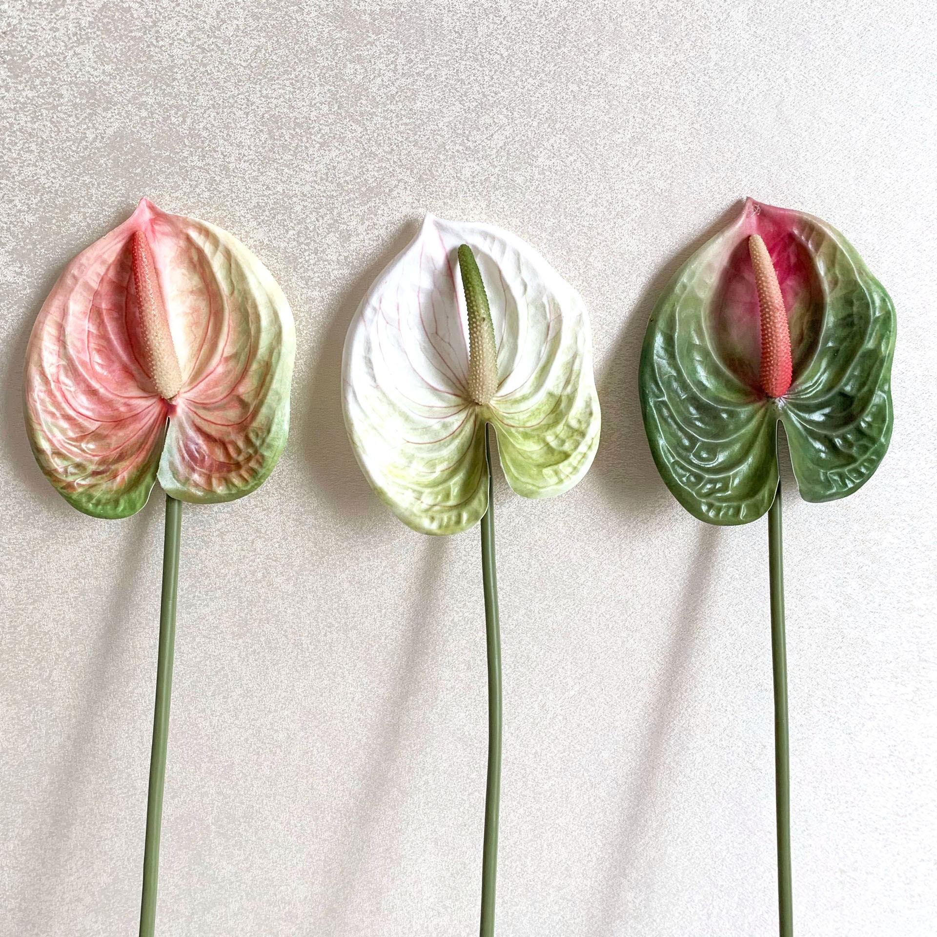 QQ图片20200809102915