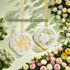 Fragrância de Melaleuca Pendurada no Guarda-Roupa, Enfeite Pendurado para Carro, Pastilhas de Fragrância para Carro, Difusor de Gesso de Gardênia, Aromaterapia para Carro