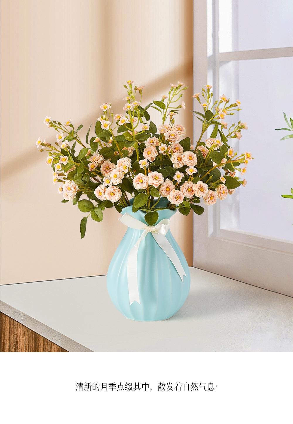 迷你小月季详情图