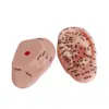 Atacado 10cm modelo auricular modelo de orelha orelha orelha área reflexa massagem ponto de acupuntura escrita clara referência da medicina chinesa