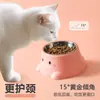 Nuevo Plato para Mascotas Color Macarrón Plato de Dinosaurio Protección del Cuello Boca Inclinada Antideslizante Antigolpes Acero Inoxidable Plato de Alimentación para Beber Agua