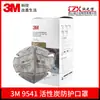 Oferta Especial Máscara Antivírus 3M9541V 9542V Anti-Formaldeído Odor Respirável Carvão Ativado Anti-Odor de Fumaça Máscara Kn95