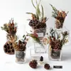 Flores secas canela limão pinha mix e match flores secas artesanais pequeno buquê fresco aromaterapia pacote de material DIY lembrança presente