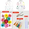 Marcador de Flores Secas Espécimen de Planta Película Selladora Botella Flores Prensadas Recolectadas en Otoño Material Hecho a Mano DIY Flor Transparente