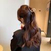 Celebridad de Internet Clip de Cadena Metálica Grande Corea del Sur Elegante Pinza para el Cabello Parte Posterior de la Cabeza Baño Cabello Clip de Tiburón