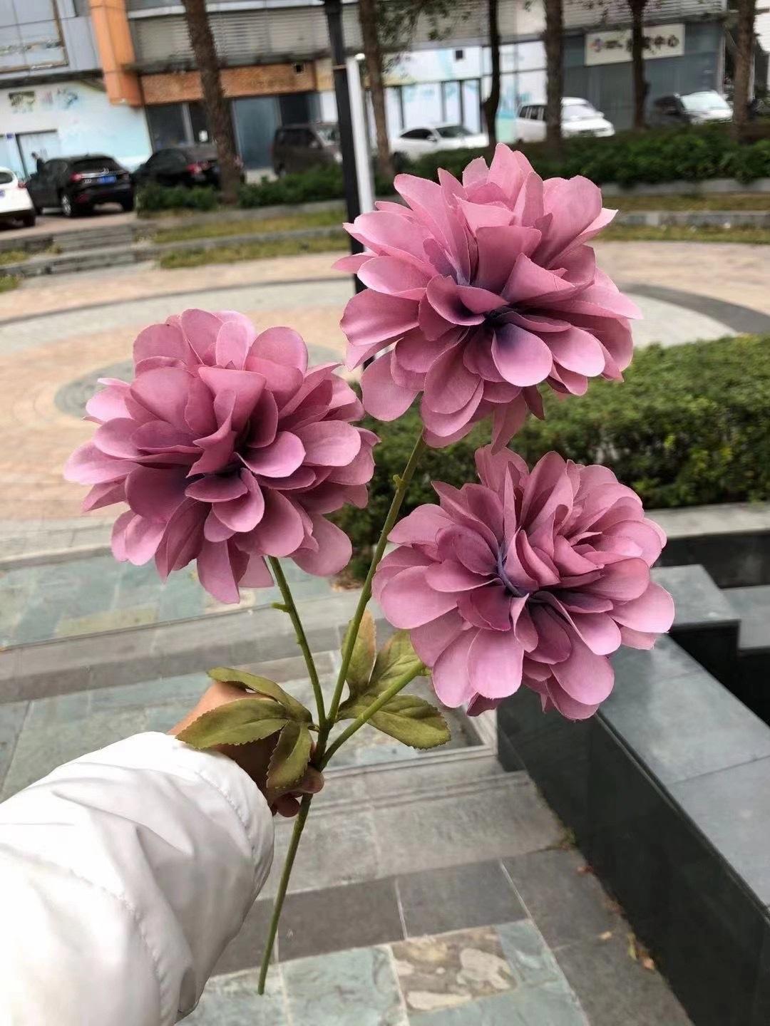 微信图片_20211102101540