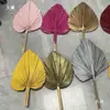 Flores Secas Coloridas Folhas de Azevinho Folhas de Palmeira Materiais para Arranjo de Flores Estilo Nórdico Styling de Casamento Folhas Decorativas Aço Inoxidável