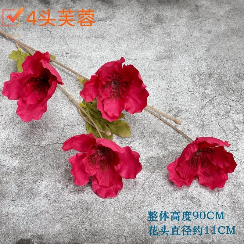 微信图片_20230414124142