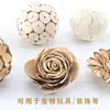 Pelota Spot Pet Pelota Takraw Color Fresco Natural Retro Accesorios para Fotos Fondo Decorativo Adornos Bola Decorativa Loro
