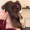 Pinza para el Cabello para Mujeres con Cabello Fino, Estilo de Alta Gama, Nuevo Modelo 2026, Pinza de Tiburón de Tamaño Mediano para Recogido en la Parte Trasera de la Cabeza, Accesorio para el Cabello