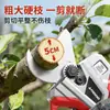 Tijeras de Podar Eléctricas Arius de Rama Alta con Batería de Litio, Apertura de Cuatro Velocidades y Mango Extendido para Podar el Jardín y Cosechar Árboles Frutales