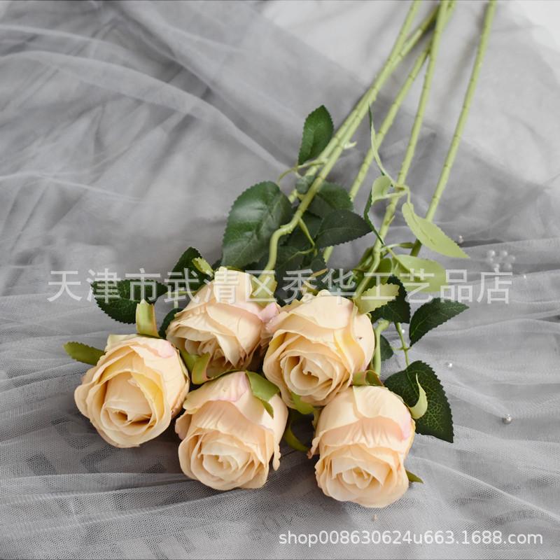 单支玫瑰主香槟色