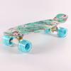 Fabricantes transfronterizos venta al por mayor transferencia de agua patineta de cuatro ruedas plato pez pequeño 3-6 balancín simple rueda flash PU carretera cepillo calle niños