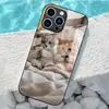 Aplicable a Funda de Vidrio Templado para Apple 18PRO 17PROMAX Cubierta Protectora iPhone16 Viendo el Teléfono Gatito 17E