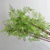 Samambaia Aspargo Ossos Pretos Manga Folha Serrilhada Decoração de Casa Samambaia Planta de Simulação Vaso Planta Verde Grama Falsa de Plástico Grama Persa