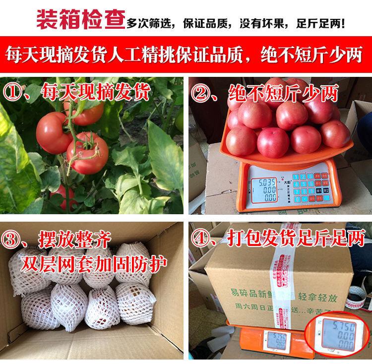 926e5507-bcd8-47ae-b8a1-5782db7da117.jpe