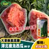 Semillas de Sandía Jinbei Tianjin Extra Grande Jinmi Dragón, Semillas de Sandía Tornado Verde Oscuro Fruta Grande, Adecuado para Campo Abierto y Rotación de Cultivos Pesados