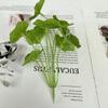 Plantas Verdes Creativas, Hierba de Dinero de Cobre, Plantas en Maceta Simuladas, Pared de Fondo para Techo de Boda, Florales, Plantas Verdes, Decoraciones de Interiores