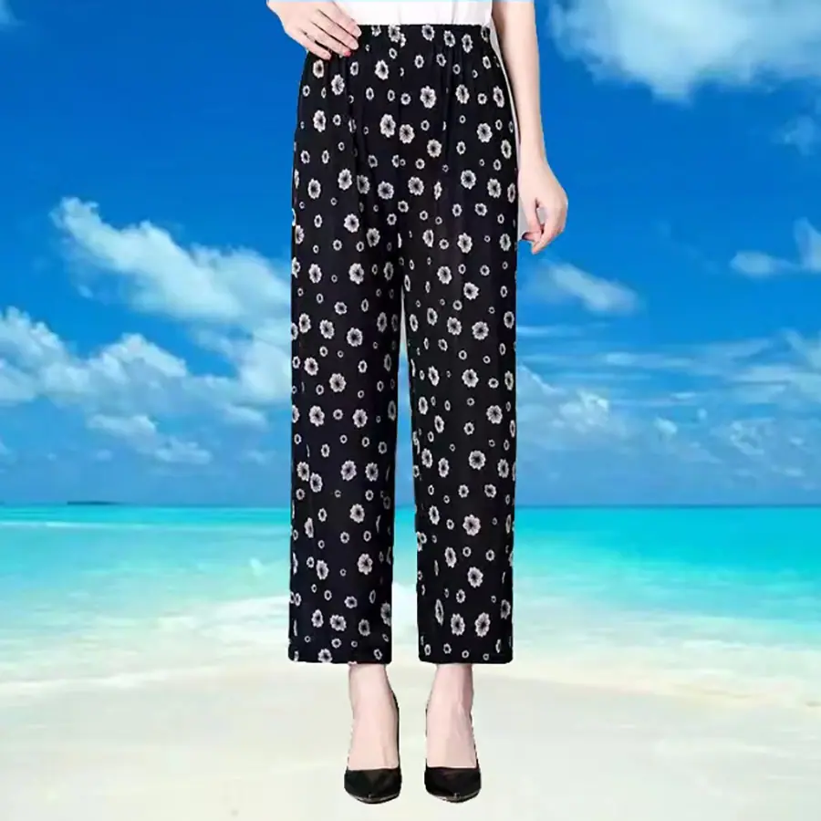 这31太阳花