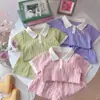 Novo Conjunto de Duas Peças Verão Infantil com Listras Verticais Florais, Manga Curta e Shorts, Roupa Infantil de Comércio Exterior, Conjunto Casual para Bebês Meninas, Estilo da Moda