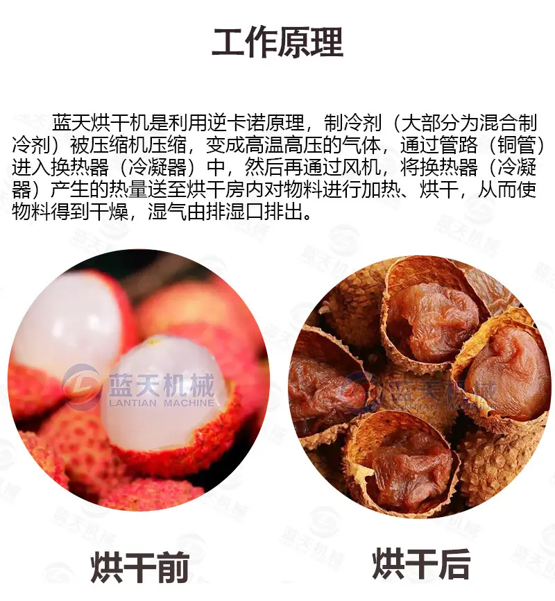 详情(20盘)_04.jpg