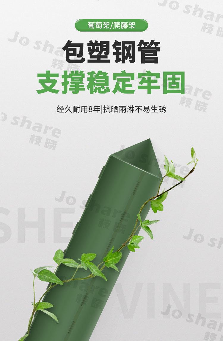 钢管详情（1688）_01.jpg
