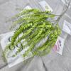 Venda Direta de Fábrica Decoração de Parede de Planta Samambaia para Pesca Plantas Verdes Artificiais Casamento Conjunto de Casamento Decoração de Flores Plantas Verdes Simuladas