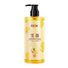 Shampoo de Gengibre Processamento OEM, Controle de Oleosidade Herbal, Volumizador, Anticaspa, Suavizante, Shampoo Sem Silicone da Fábrica de Origem