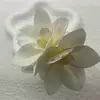 Pasador de Orquídea de Hada~Estilo Princesa Francesa Súper Hada Flor Pasador Clip para Recogido Accesorio para el Cabello que Crea Ambiente para Mujeres