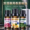 Umidificador Especial Óleo de Aromaterapia Casa Interior Duradouro Aromático Lavanda Rosa Planta Solúvel em Água Óleo Essencial de Aromaterapia