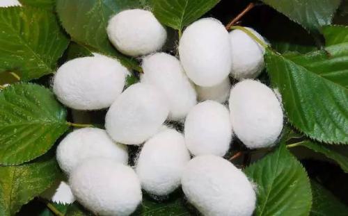 u=3056862937,2838321577&fm=26&