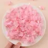 Pinza para el pelo de mariposa colorida rosa, pinza pequeña súper de hada, clip para el pelo, accesorios para el pelo de niños, tamaño pequeño, accesorios para el pelo