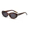 Óculos de Sol Novo Estilo, Armação Oval Fashion, Rosto Pequeno, Óculos de Sol com Proteção Solar Masculino e Feminino, High-End, Personalizado, Óculos de Sol Hot Girl