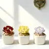 Zibo Florero de Vid Flor de Peonía Planta Flor de Vid Artificial Regalo del Día de la Madre Adorno de Escritorio Decoración de Coche Artesanía