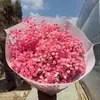 Gipsófila Flor Eterna 120g Caja de Material de Flor de Gipsófila Eterna Flor Flotante Flor Prensada Flor Hecha a Mano Ramo de Flores Eternas