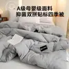 Colcha Antártica Colcha de Inverno Algodão Duplo Espessado Quente 25 Novo Modelo Colcha de Primavera e Outono Colcha para Todas as Estações Colcha Infantil Núcleo de Colcha Roupa de Cama