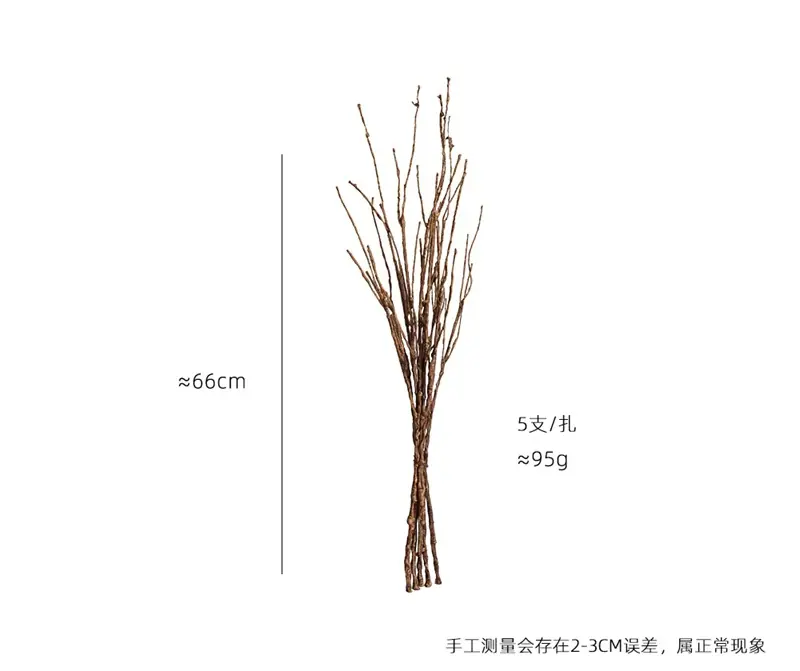 枯枝5.jpg