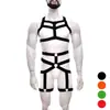 Bambú como suministro transfronterizo de ropa multicolor opcional SM hueco sexy para hombres adultos traje divertido NZN0027