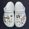 Accesorios para Zapatos Croc Hebilla Decorativa de Metal Perla Pedrería Hebilla de Zapato Acrílica Desmontable Flor de Zapato Juego Estilo Ins