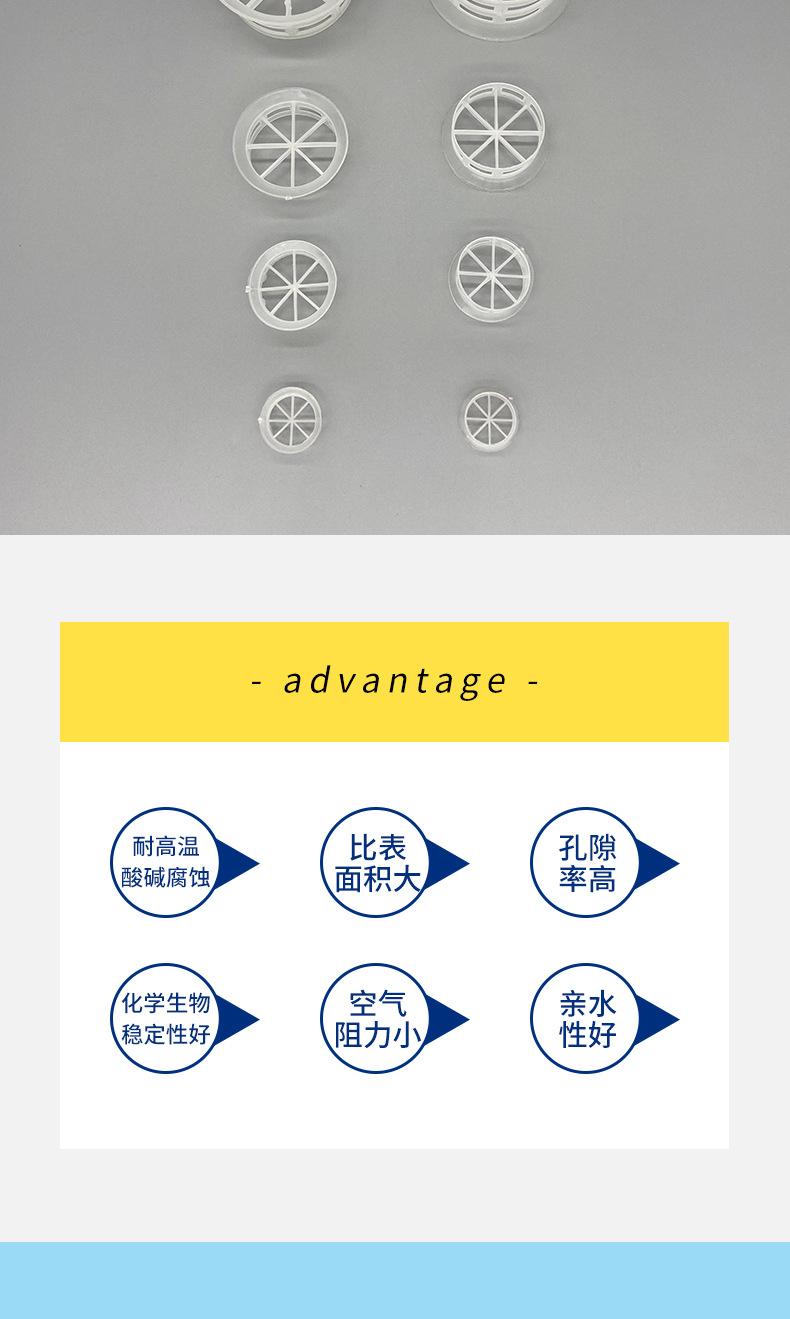 阶梯环填料_02.jpg
