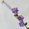 Transfronterizo Nueva Flor Artificial Boda Hogar Flor Decorativa Sala de Estar Pasillo Adornos Arreglo Floral Ramo de Flor Seca Sentido de Alto Nivel