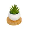 Venda Quente Transfronteiriça Suculentas Falsas Mini Plantas em Vasos de Plástico Suculentas de Simulação Presentes Plantas de Comércio Exterior Pequenos Enfeites para Casa
