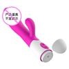 Masturbación femenina 30 frecuencias vibración pequeña concepción artística doble vibración simulación silicona vibrador eléctrico juguetes sexuales para adultos