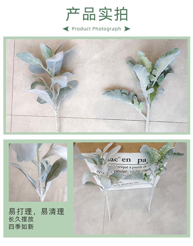 兔儿叶详情页_07.jpg
