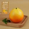 Fruta falsa de espuma estrictamente seleccionada, modelo naranja, decoración de ventanas del hogar, accesorios de fotografía, alta simulación naranja