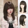Peluca de longitud media recta en capas, estilo coreano y japonés de celebridad de internet, se puede peinar, cómoda y natural, peluca para toda la cabeza para mujer, no necesita arreglarse el cabello, en stock