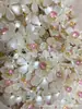 15mm Concha Imitação Flor de Cinco Pétalas Flor Pequena Vintage Acessórios DIY Brincos Artesanais Enfeites de Cabelo Decorações para Sapatos e Roupas Acessórios de Leque de Flores de Mão