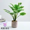 Flores Artificiais Diretamente do Fabricante, Pequenos Bonsais, Decorações Criativas para Interiores, Plantas Verdes Artificiais, Plantas Artificiais em Vasos da Amazon