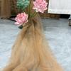 Arroz Branco Champagne Amarelo Claro Véu Suave Casamento Boas-Vindas Fundo Decoração com Fio de Cascata Palco de Atividade Arranjo Malha